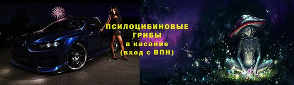 кокс Гусь-Хрустальный