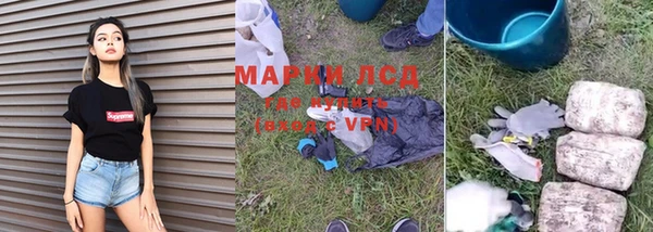 альфа пвп Гусев