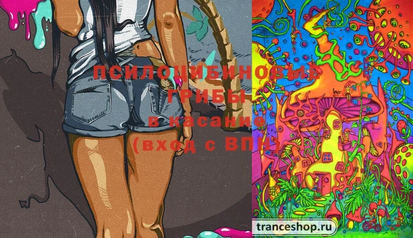 гашишное масло Гусиноозёрск